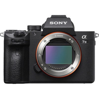 Sony A7 Mark III (with SEL FE 28-70mm OSS)